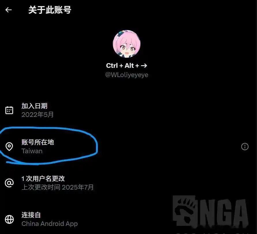 替中国向日本道歉的账号ip原来是湾湾，那太正常了……