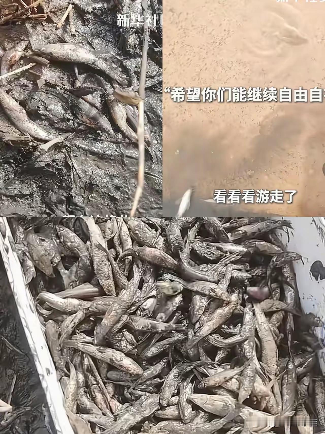 30岁的阿依古丽给所有女人提了个醒那天她光脚踩进泥沟捞小鱼的时候,根本没
