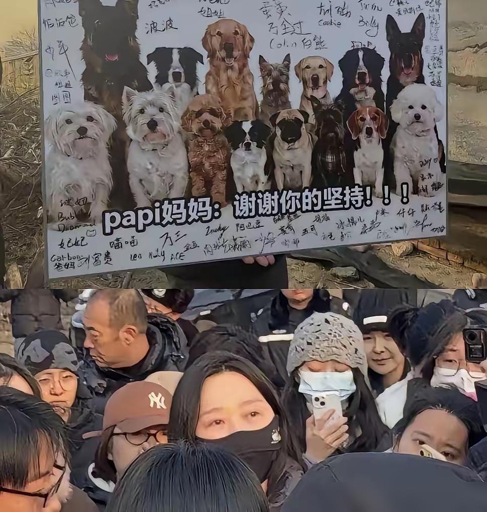 你们信不信​李女士不会在养狗了​不是因为她还想念爱犬，也不是因为她没时间