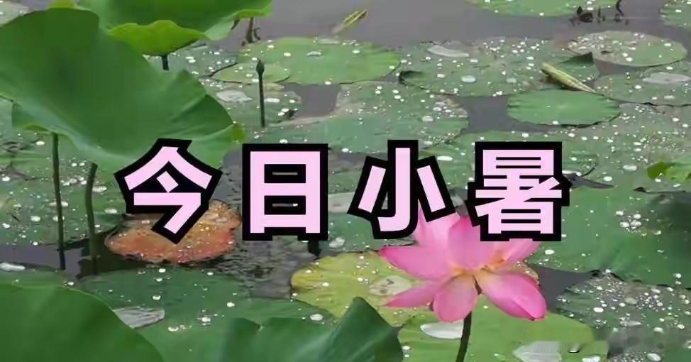 今日小暑，牢记：1不洗，2要藏，3不喝，4多吃，暑热天气要重视小暑一到，太