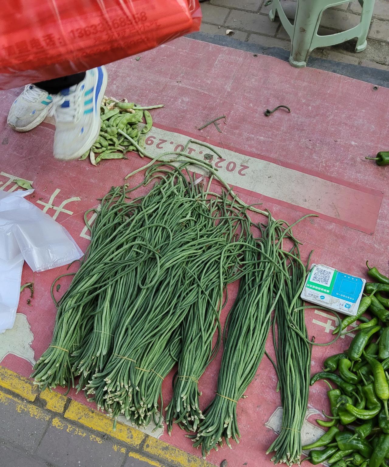 哈尔滨最近菜价真便宜！本地蔬菜都已经陆续上市了，像豆角，茄子，辣椒，黄瓜都很便
