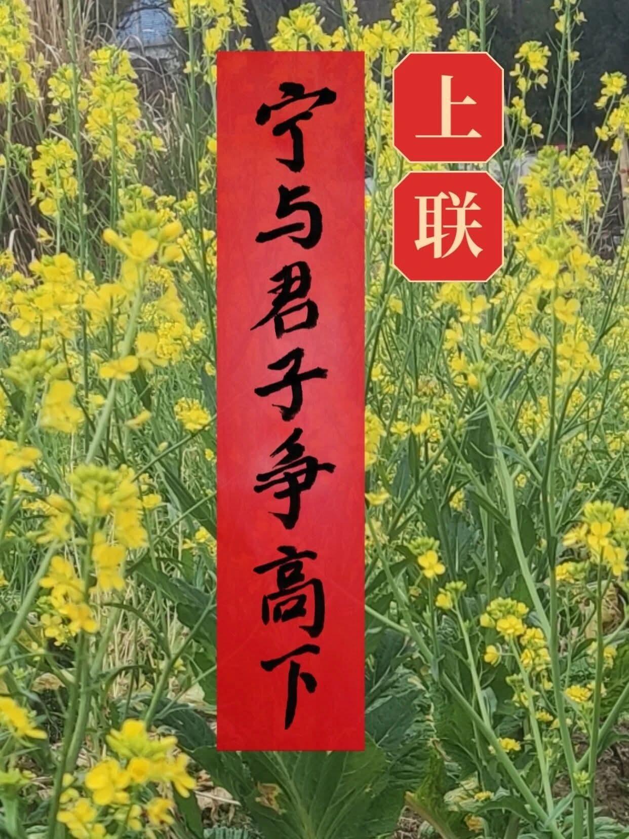 肚子里没点墨水对不出来。上联：宁与君子争高下下联：