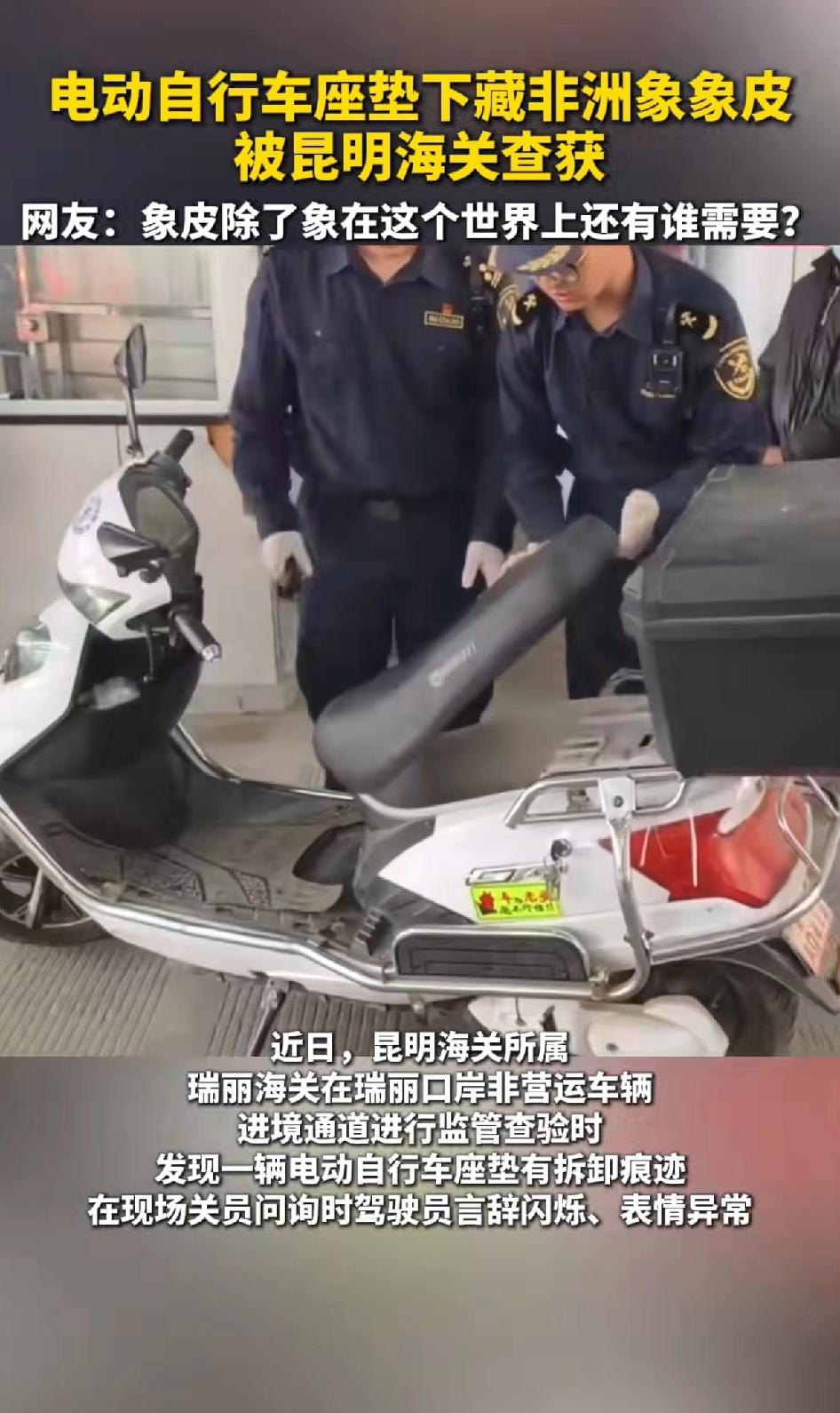 电动车坐底下藏有非洲象象皮，被昆明警方查获！网友怒了：这个世界除了大象需要象皮