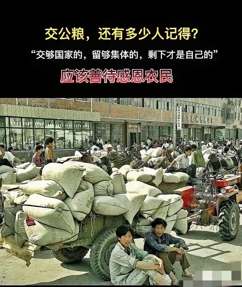 全网共鸣！交过公粮、交过农业税的父辈，理应和职工享受同等社保待遇！老一辈农