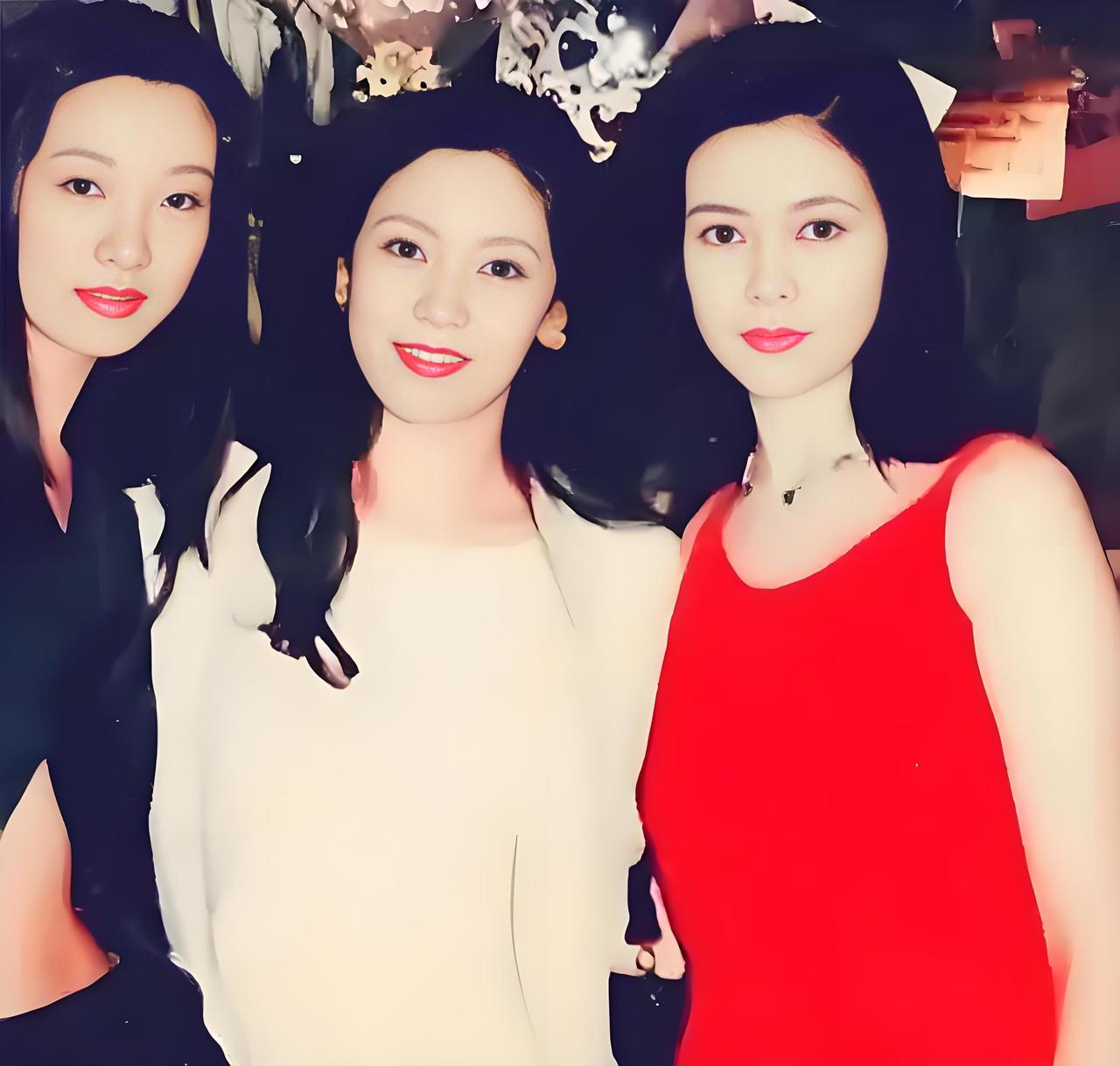 2025年9月12日，导演王晶公开称赞向太陈岚年轻时颜值出众，直言其与关之琳、邱