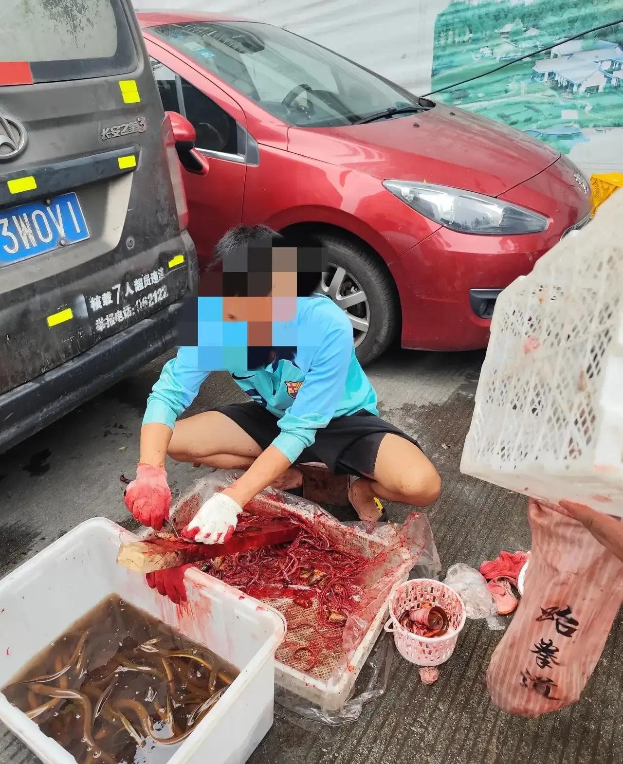 交了智商税！温江航天大市场40元一斤的“大凉山土黄鳝”，竟是…我最近在温