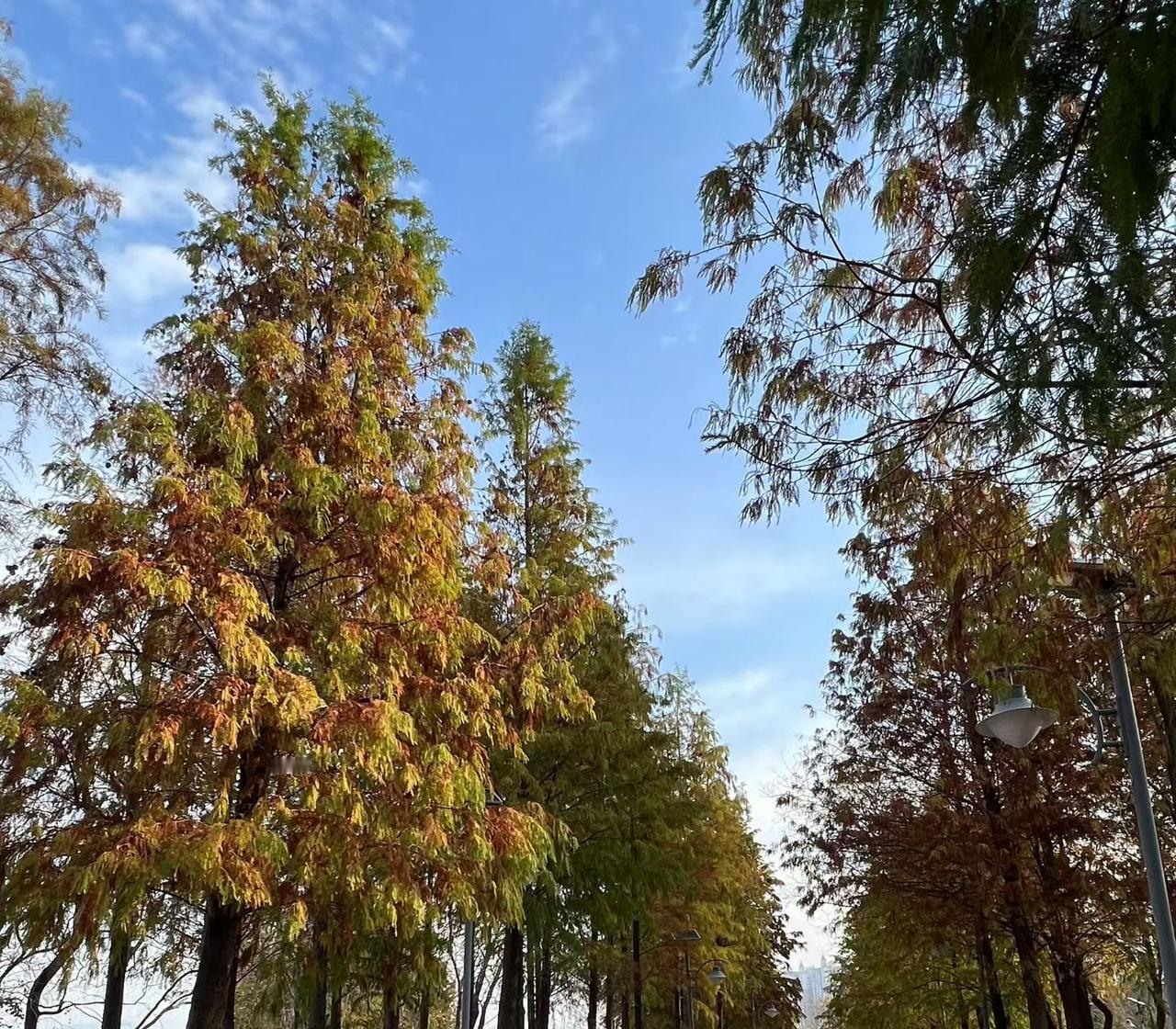 家里聚会，桌上摆满水果和煲好的老火汤。可乐？雪碧？奶茶？想都别想！我老公