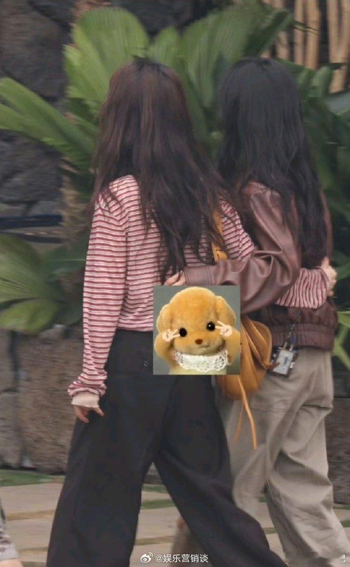 沈月谭松韵傻傻分不清亲爱的客栈沈月和谭松韵都是那种越看越可爱的女生，圆圆的脸蛋超