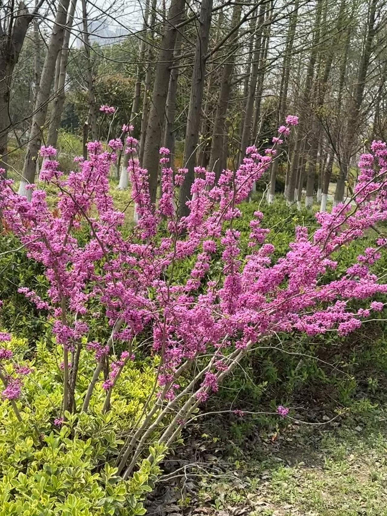 养生明白人：人一过60，别瞎操心、别乱付出，养好自己就是福气养生最贵的药，从