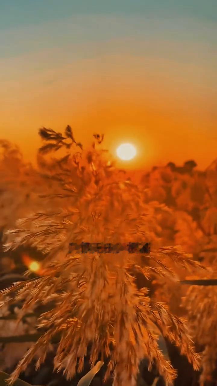 人性的贪婪。你知道古人写人性的贪婪写的有多真实吗？列位你听一听。终日奔波只为