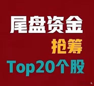 4月21日A股尾盘最后30分钟资金抢筹排名前20个股：1.盛合晶微43.10