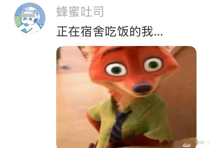 终于知道小狗为什么喜欢把东西叼回窝里吃了