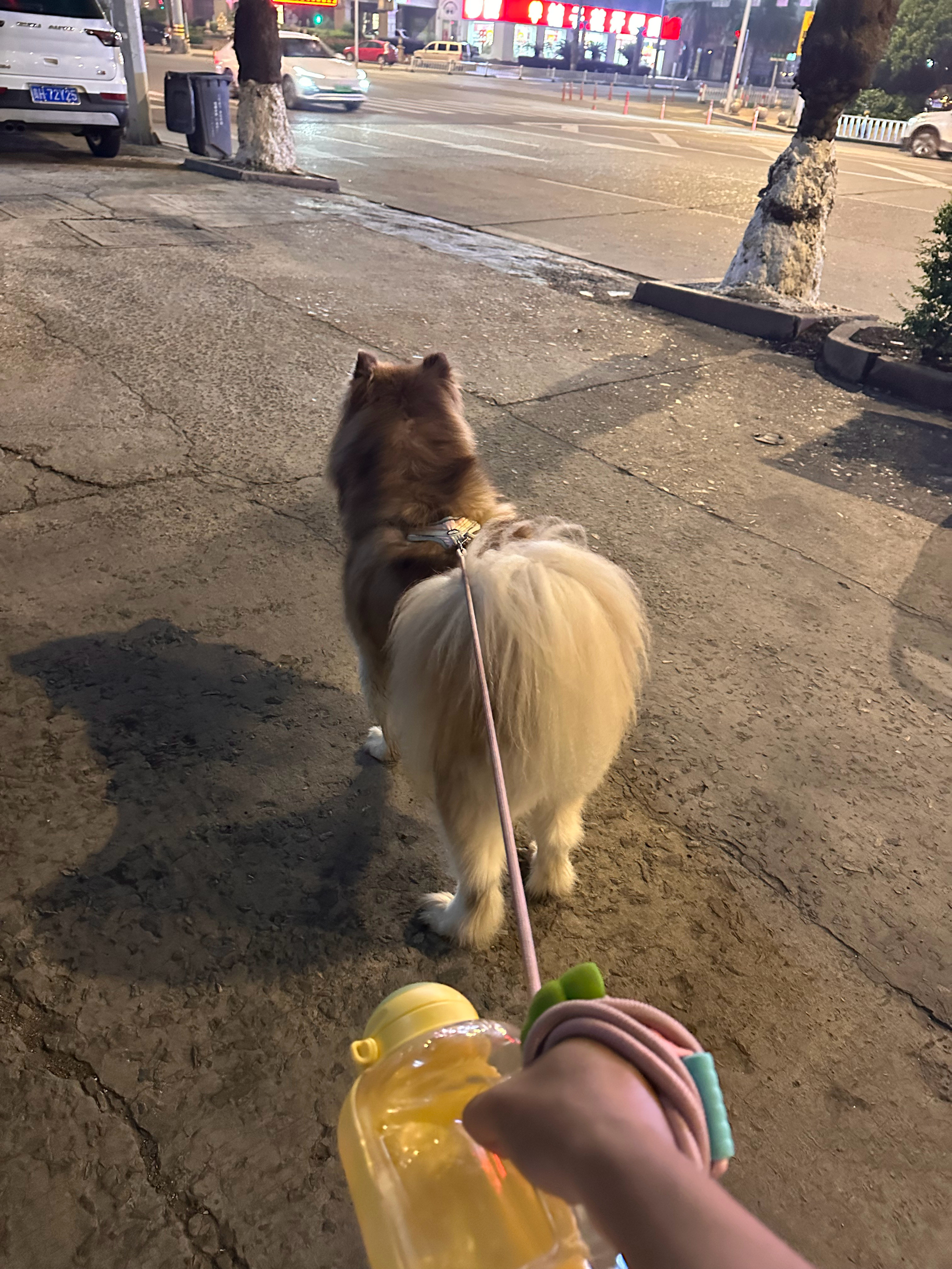 犟种！​​​