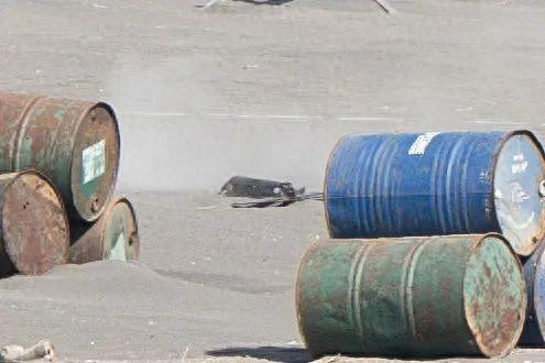 台军试射自制巡飞弹 起飞后6秒坠毁海滩