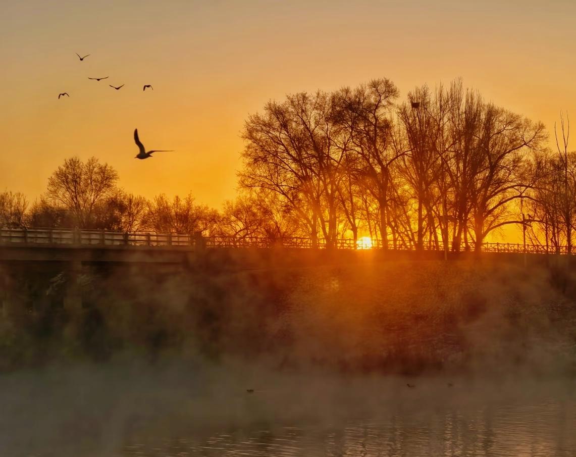 鲜为人知的冷知识：世界上任何书籍都不能带给你好运，但它们能让你悄悄成为你自己。