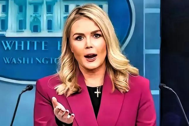 中日闹那么多天，躲在日本背后的第二条大鱼被我们钓了出来。11月20日白宫直接亮