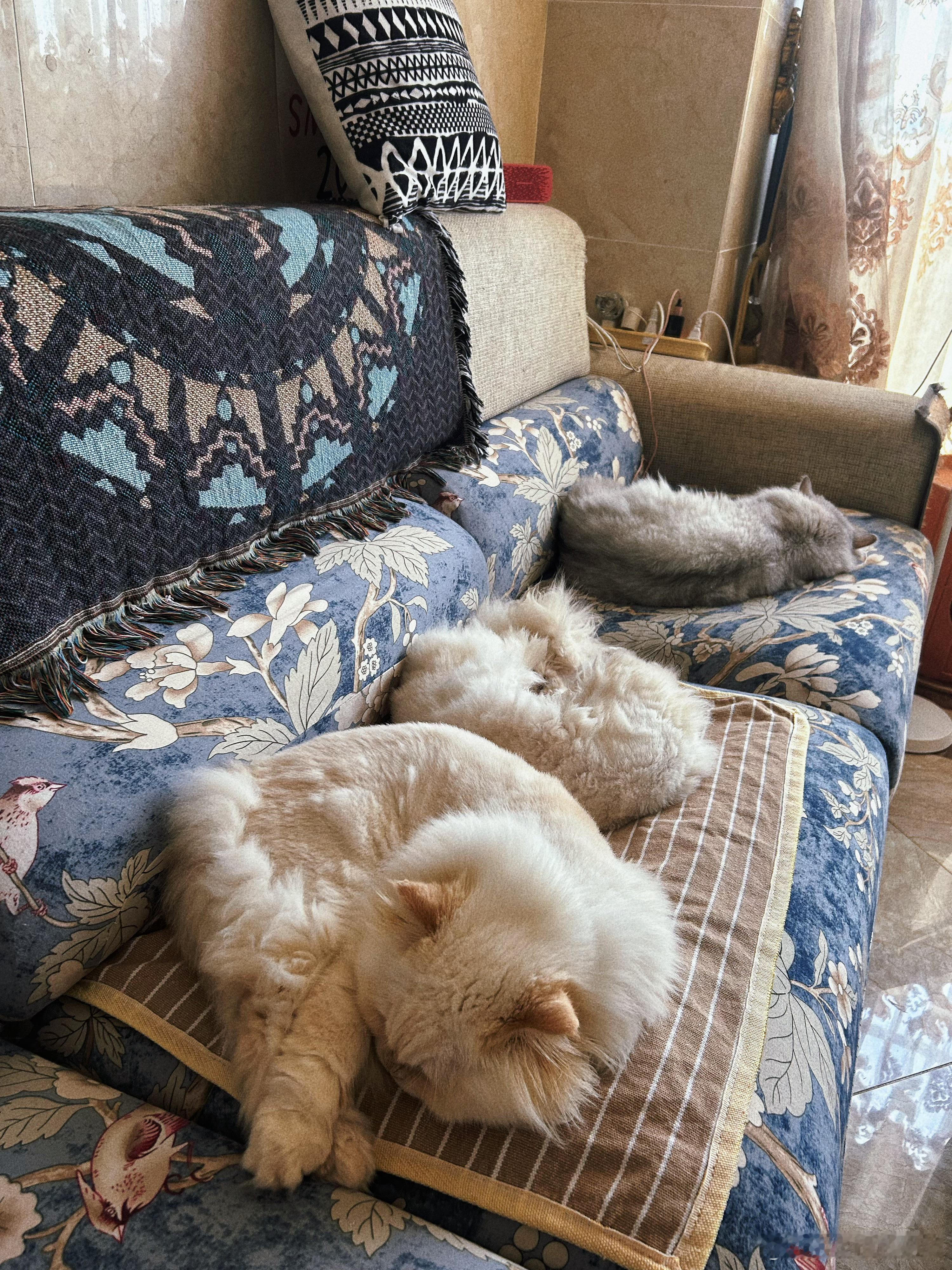 今天穿的和鞋子不搭，太穷了请不起司机没机会穿高跟鞋