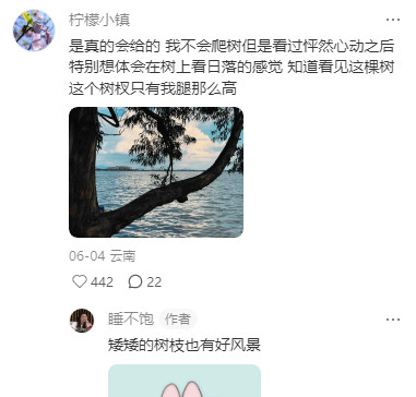 想出这句话的人你简直是小太阳