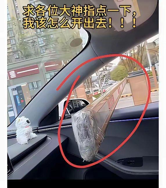 有没有10年以上的驾驶高手？如果遇到这种情况，到底该怎么开出去呢？往前也不是，往