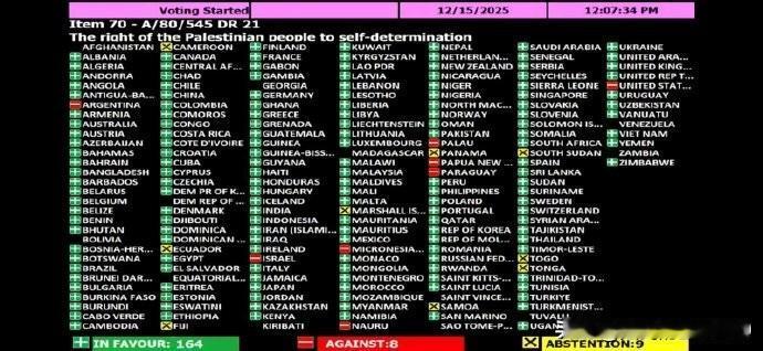 联合国大会昨天就支持巴勒斯坦民族自决权进行了新的投票，结果为164票赞成、8票反