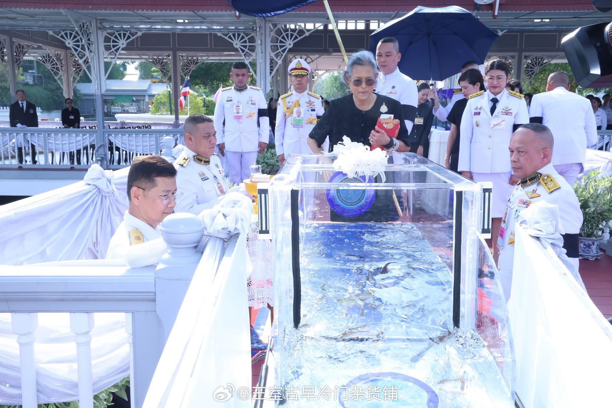 王室王室泰国王室诗琳通2026年4月2日，诗丽吉亚陪同大婶出席71岁生日放生仪