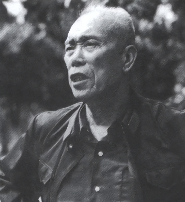 1971年处境恶劣的梁兴初来北京汇报工作，听到毛主席一句话后，梁兴初不明白其中意