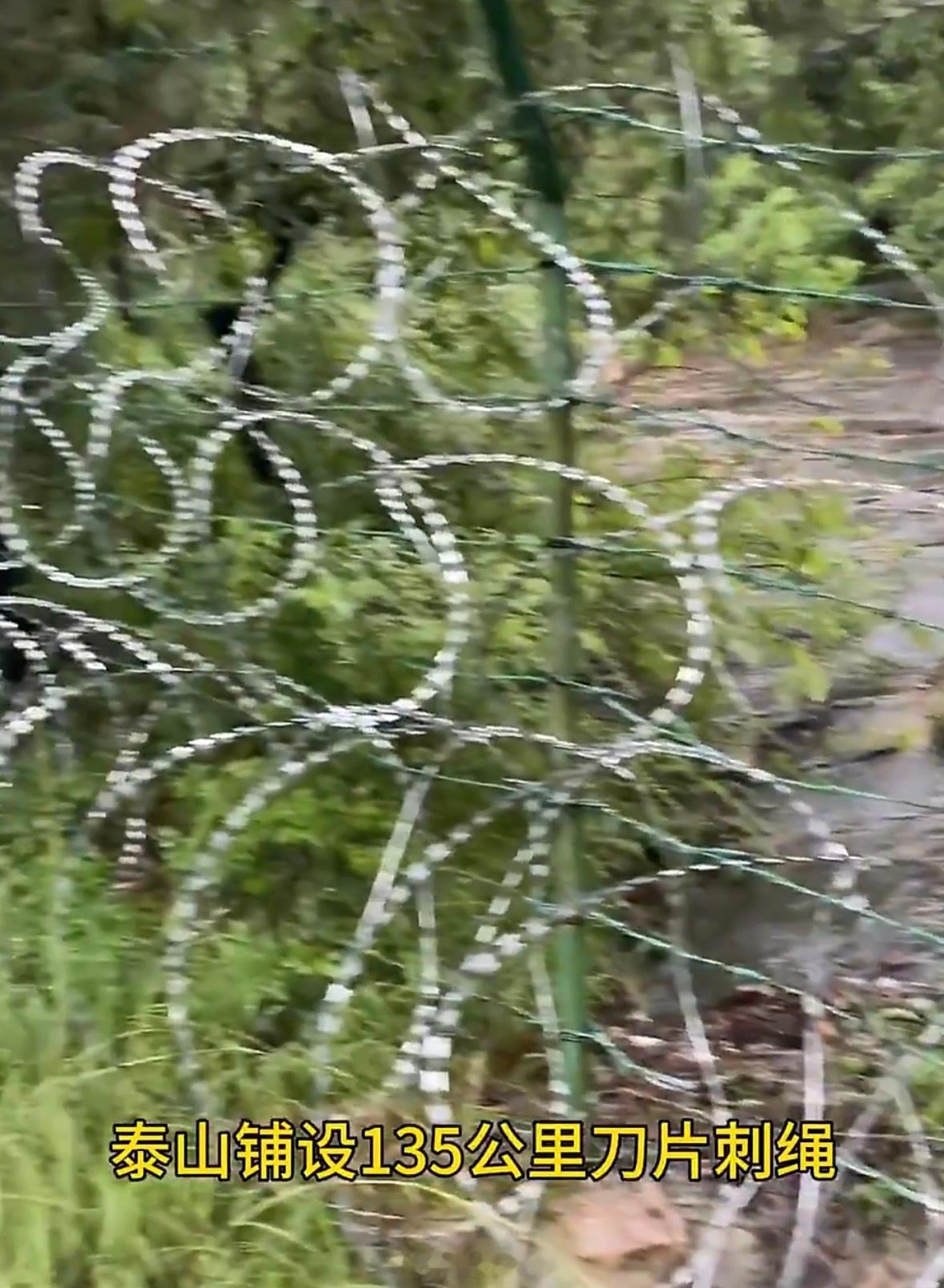 我们关于泰山的记忆是“会当凌绝顶，一览众山小”。现在呢？——隔着粗暴丑陋的铁丝网
