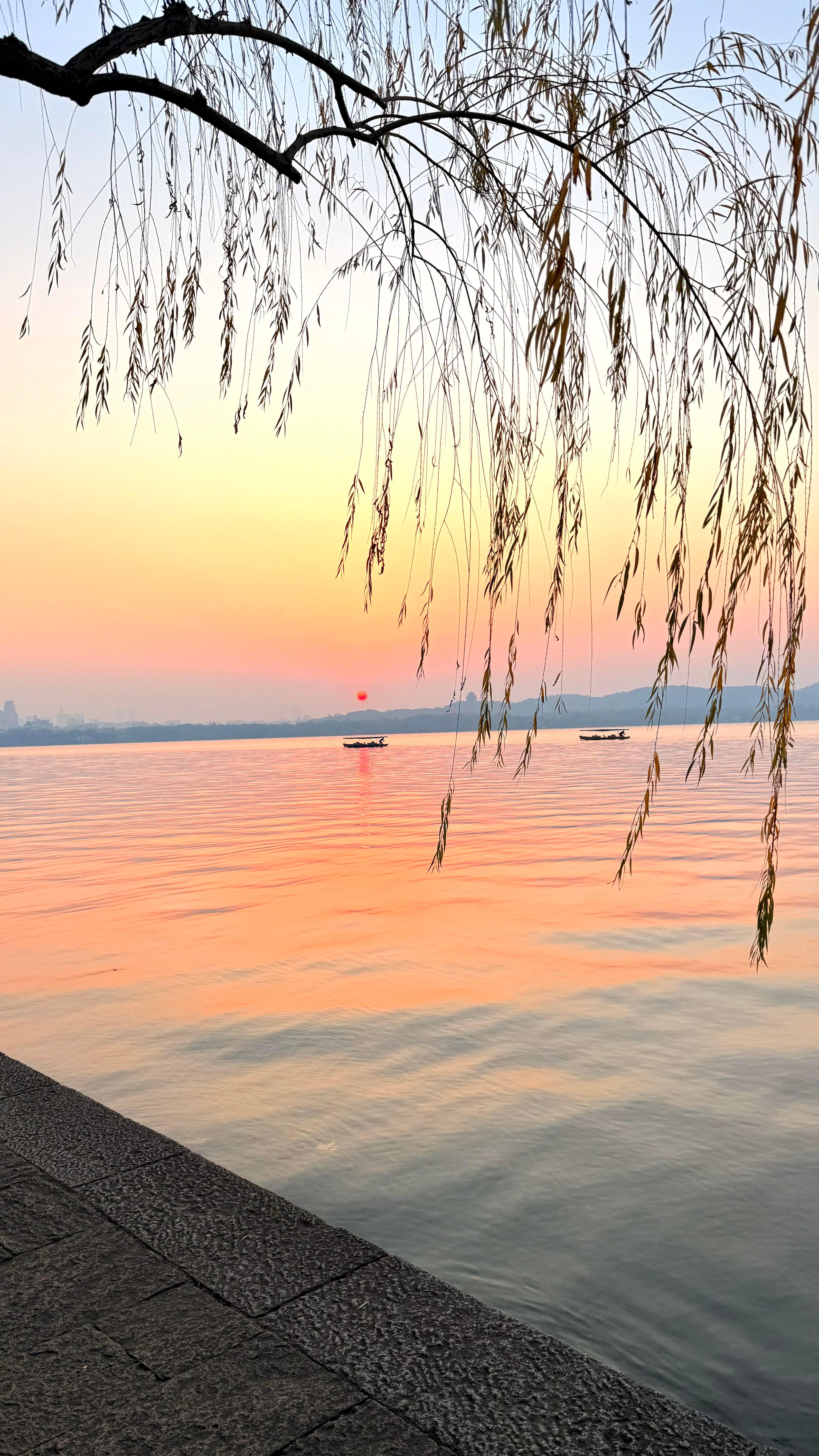 西湖日出美成了水墨画2026西湖日出真的美晕了