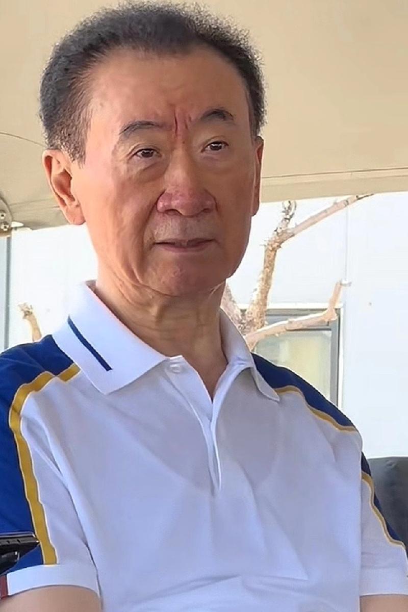 王健林被限制高消费了，我同事陈姐说：以后在绿皮火车上能偶遇老王了。王健林这次被
