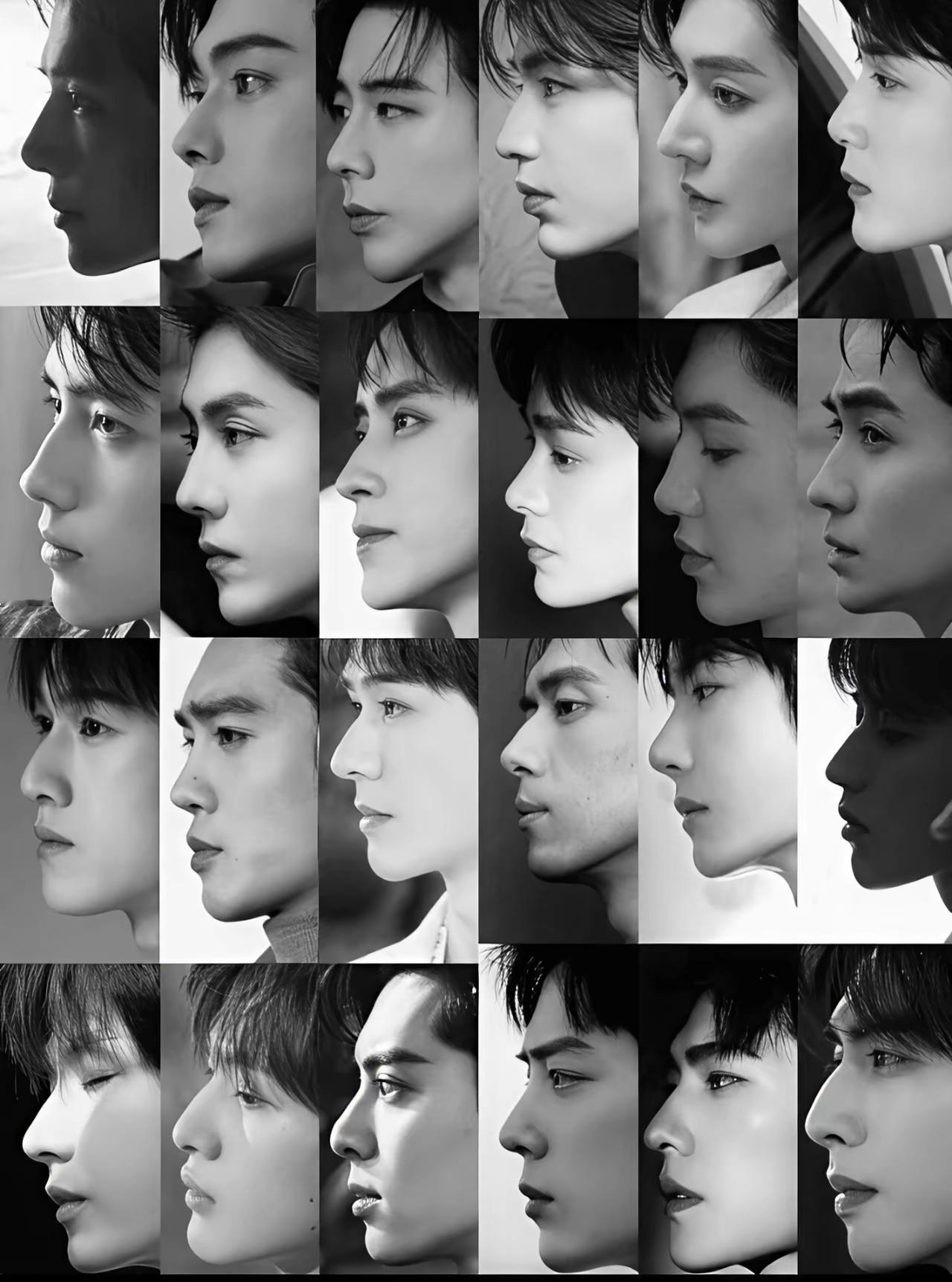 论侧颜男神我只服任嘉伦那个完美的下颚线谁都不是他的对手当然成毅也很不错