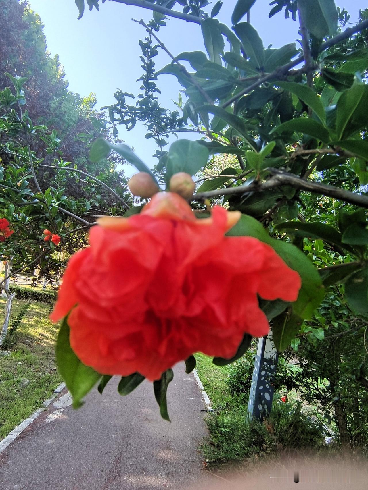先离婚来再二婚其中肯定有原因两个旧人又结婚一个被窝两条心你打你的小九九
