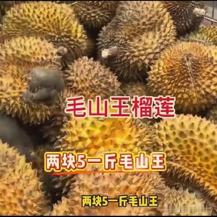 警惕！榴莲市场“爆雷”，铁笼榴莲坑你没商量。榴莲市场惊现“雷区”！“益生菌榴