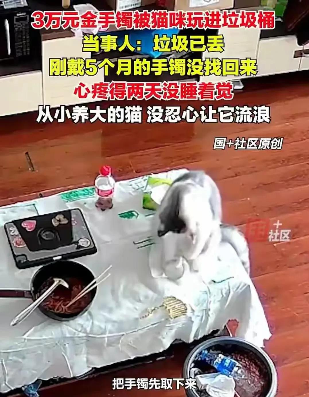 养猫的人除了喜欢猫，还因为寓意好，招财猫嘛。不过，也有例外。8月17日，广西