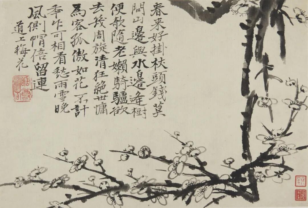 【苦瓜和尚画里的梅花，水墨逸笔，疏影横斜】-图｜清·石涛《梅花图册》遇见艺术新城