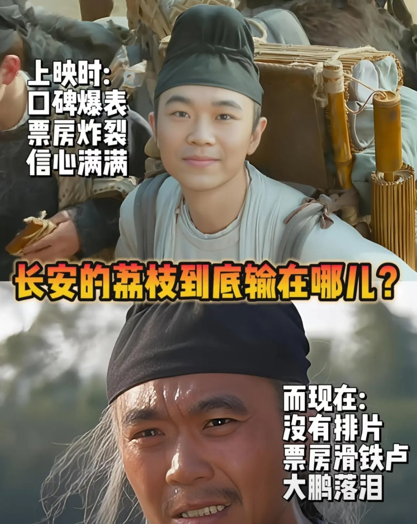 长安的荔枝为什么一下就没有热度了？由大鹏导演及主演的电影《长安的荔枝》目前票房