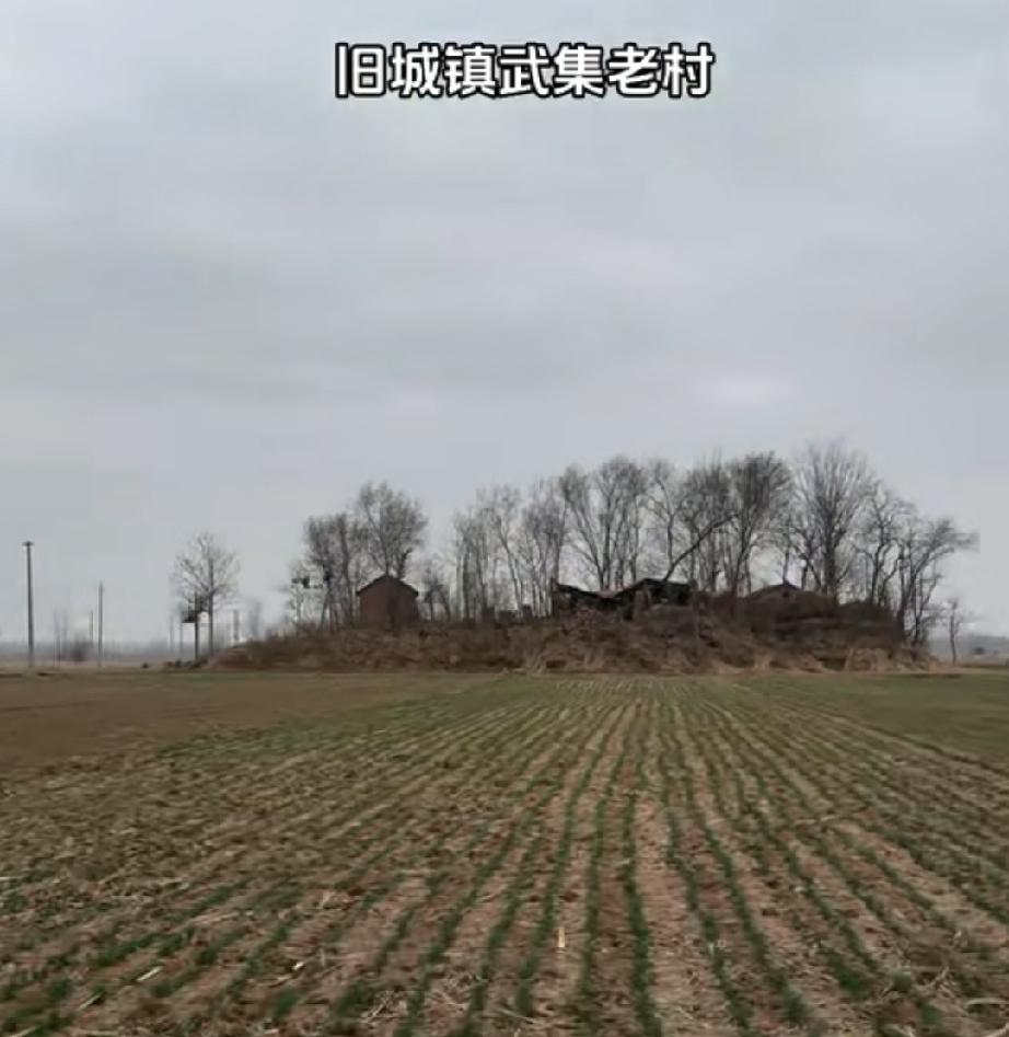 鄄城县旧城镇武集村旧址元朝建村，祖祖辈辈都在黄河滩里。以前黄河经常发水，村民