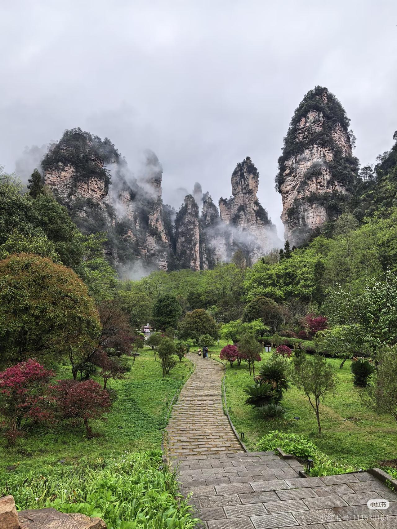 一位房产专家说：“现在买房子你就记住四点，一、最贵地段，买最便宜的房房子