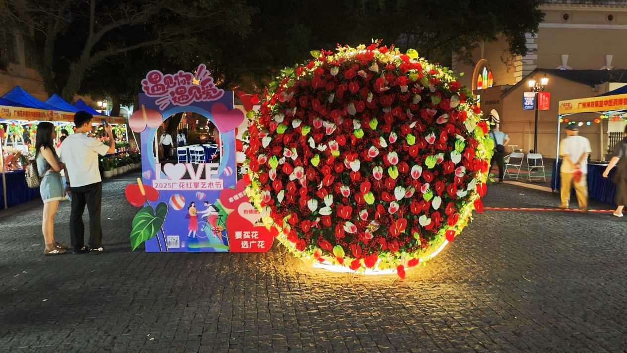 11月1日，首届“广花红掌”艺术节在广东省广州市沙面公园开幕，广州花卉研究中心有