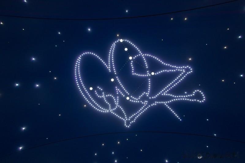 来聊聊11月17日各星座运势。白羊座，这天或许会因某人古怪行为感到震惊，