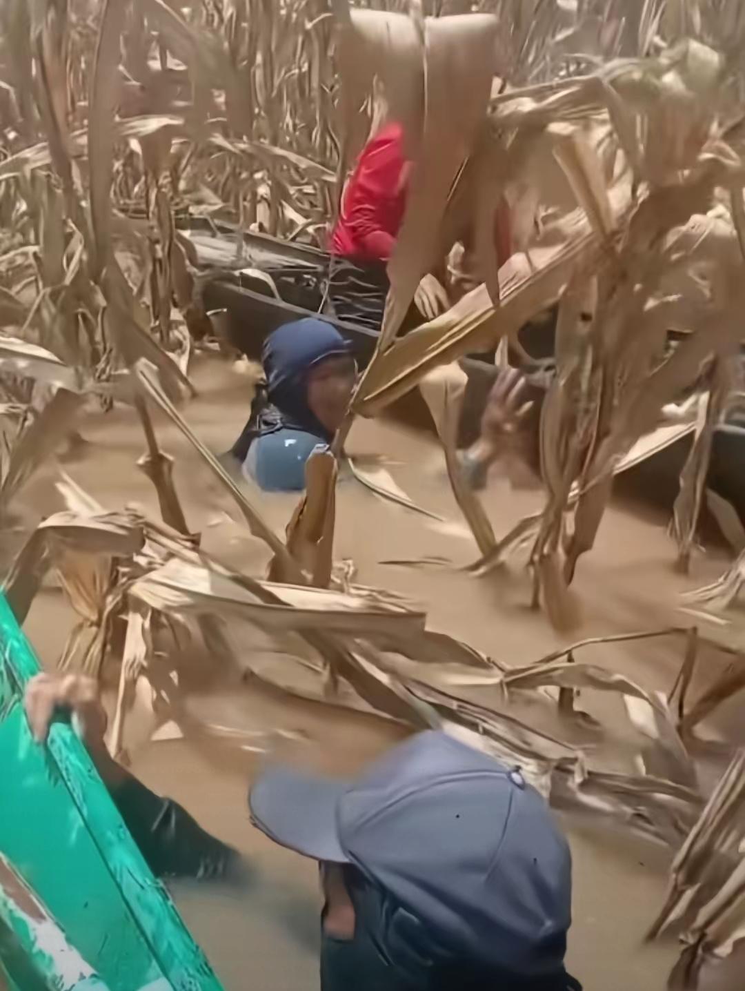 老天“出手”，人类该反思浪费了！之前我喊破嗓子说人类早晚得回到啃树皮、挨饿的