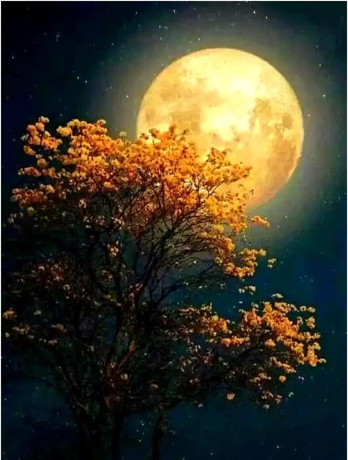 下联：春风低拂暖人心赏析：上联“秋月高悬照大地”描绘秋夜月明、清辉遍野的静谧