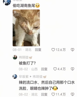 这个才是最好笑的