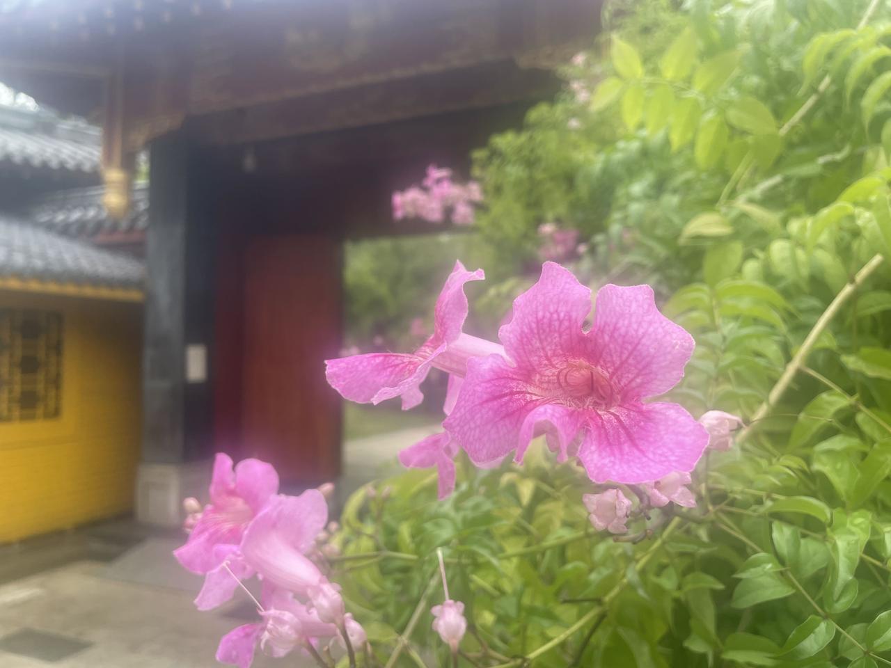 即便有补偿，差距也不啻天渊。邻居家儿子今年40岁，毕业于清华