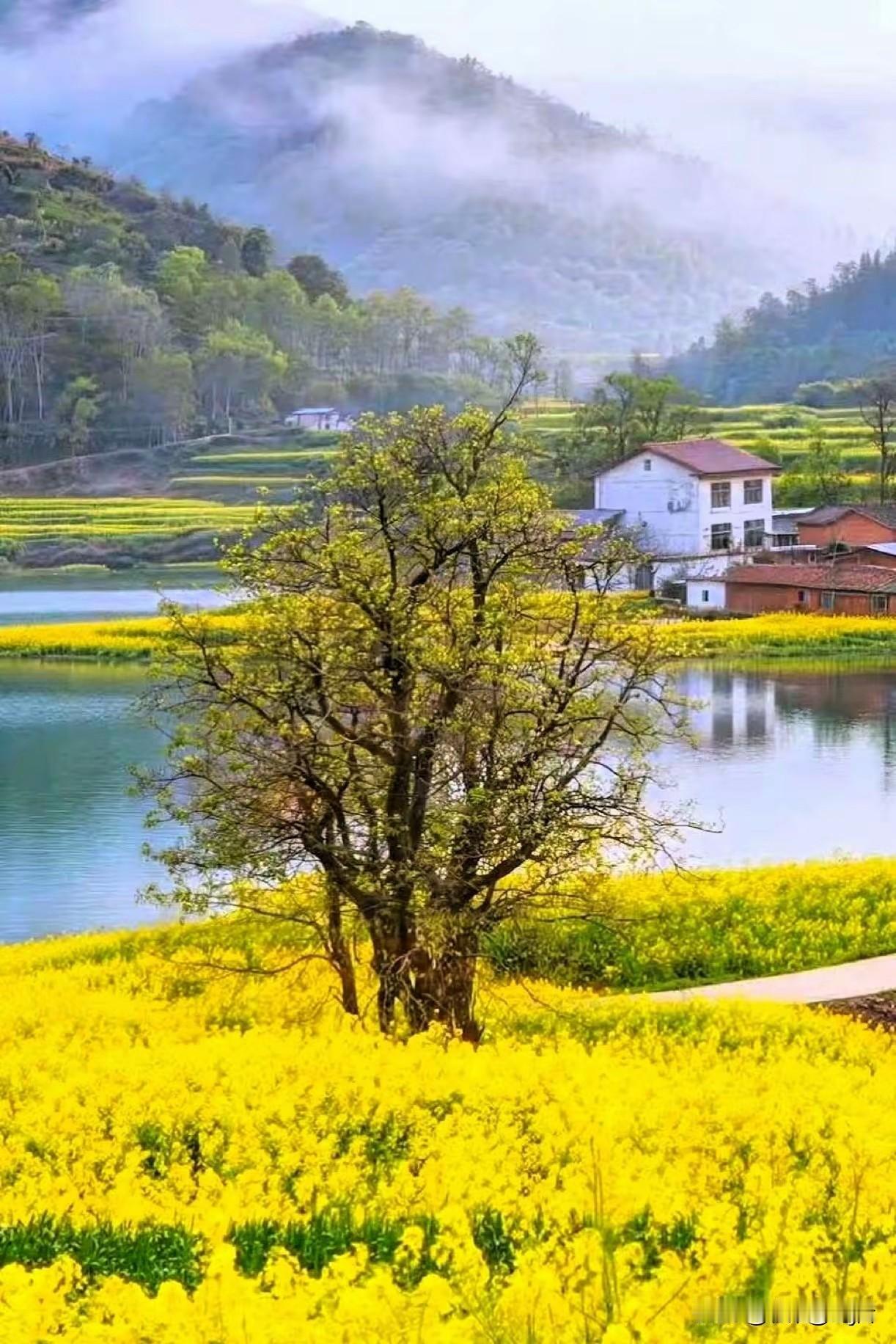 人活通透的十大标准，缺一不可1.情绪自洽，不内耗、不纠结不为小事耿