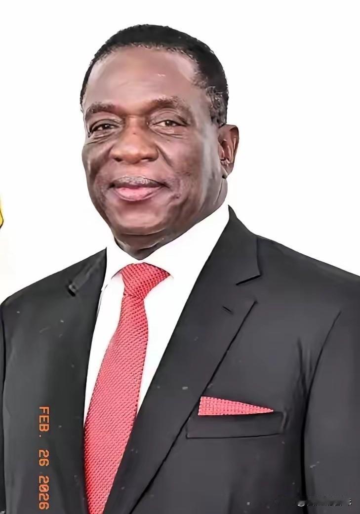 津巴布韦这一纸锂矿出口禁令，直接把国内锂产业链的生死线划死了！没有缓冲，没有过渡