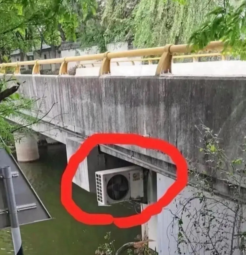 跟老公去河边钓鱼，一转眼发现的，家人们这是什么意思？没有看懂？