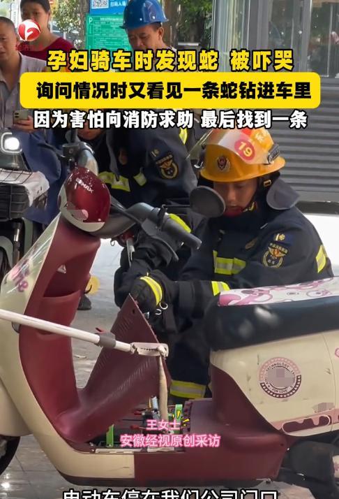 “太可怕了！”广东惠州，一孕妇打算骑电动车出门，结果看到一条蛇钻进车里，当时就被