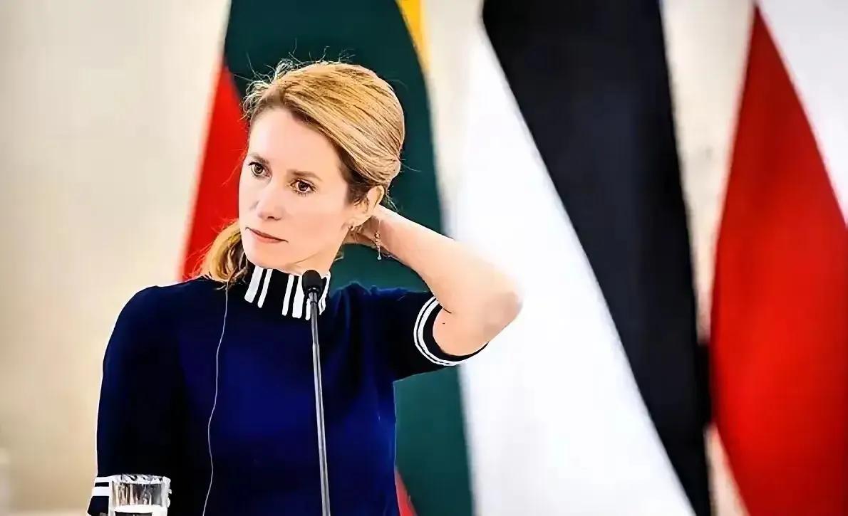 “趁着美国病，想要美国的命”。卡拉斯又发表无脑观点了，她表示：趁着美国与中国对抗