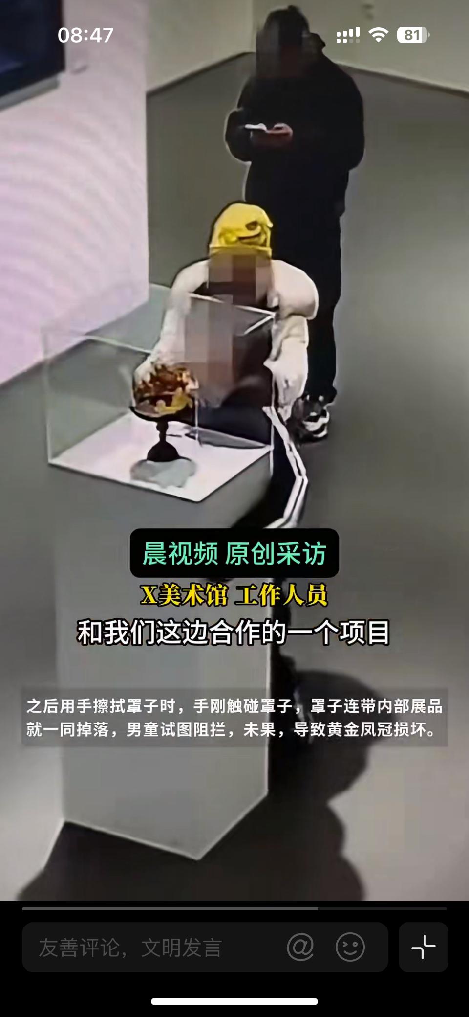 网红张凯毅说小男孩推倒了她的4斤黄金凤冠，全网网暴小男孩。没点开之前我以为是个熊