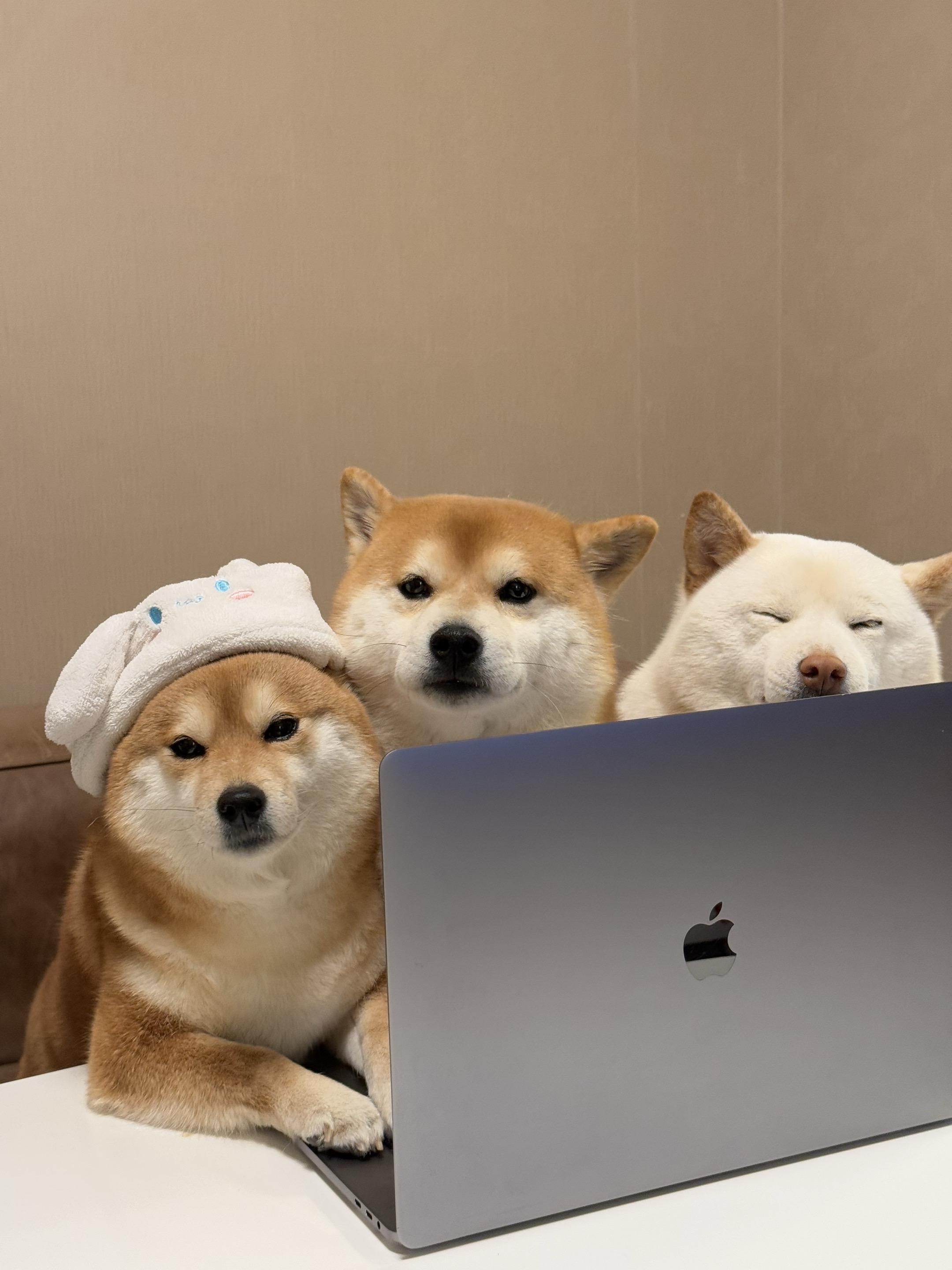 打工人